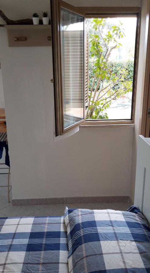 فادا Room Garden المظهر الخارجي الصورة