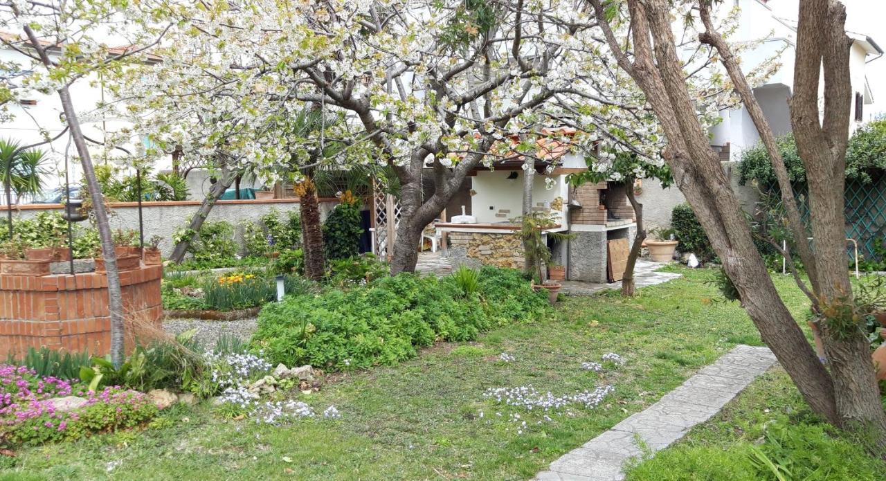 فادا Room Garden المظهر الخارجي الصورة
